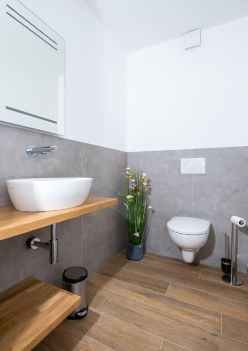 Ferienhaus Mountain View Six50 Mit Sauna Und Kamin In St. Andreasberg Sankt Andreasberg Εξωτερικό φωτογραφία