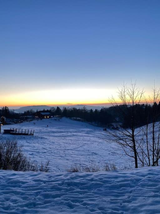 Ferienhaus Mountain View Six50 Mit Sauna Und Kamin In St. Andreasberg Sankt Andreasberg Εξωτερικό φωτογραφία